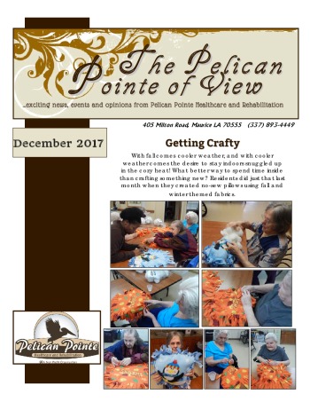 thumbnail of PPHR December 2017 Newsletter